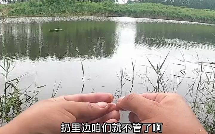 [图]鱼情好暴躁，太过瘾了。还有一个事，这谁干的？下来差点踩到💩