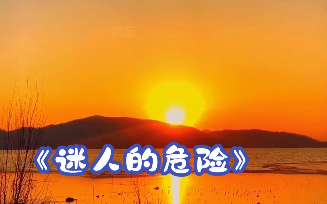 《迷人的危险》你在我的眼中真的很也别