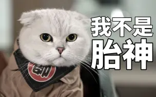 Download Video: 猪柳蛋：你好，我是睡务局局长，需要在你家旅馆试睡一场