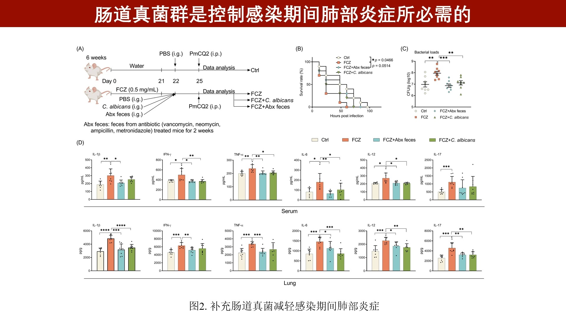 iMeta | 华南农业大学任文凯组发现肠道真菌与细菌互作影响肺炎哔哩哔哩bilibili