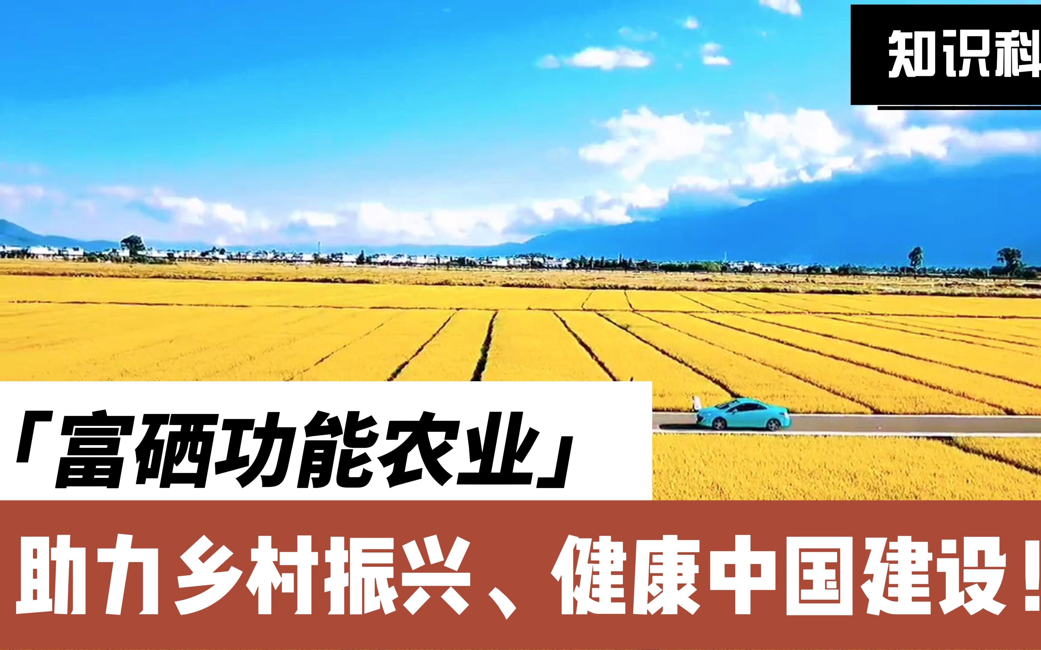 富硒功能农业,助力乡村振兴,健康中国建设!