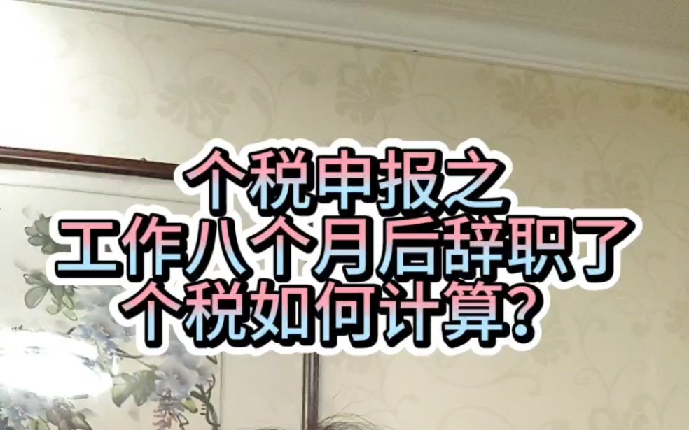 (从业7年保险经纪教你算税)工作八个月辞职了,怎么计税?(你个税申报了吗?)哔哩哔哩bilibili