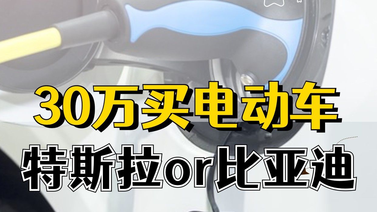 30万买新能源纯电动汽车,特斯拉or比亚迪,来看看销量哔哩哔哩bilibili
