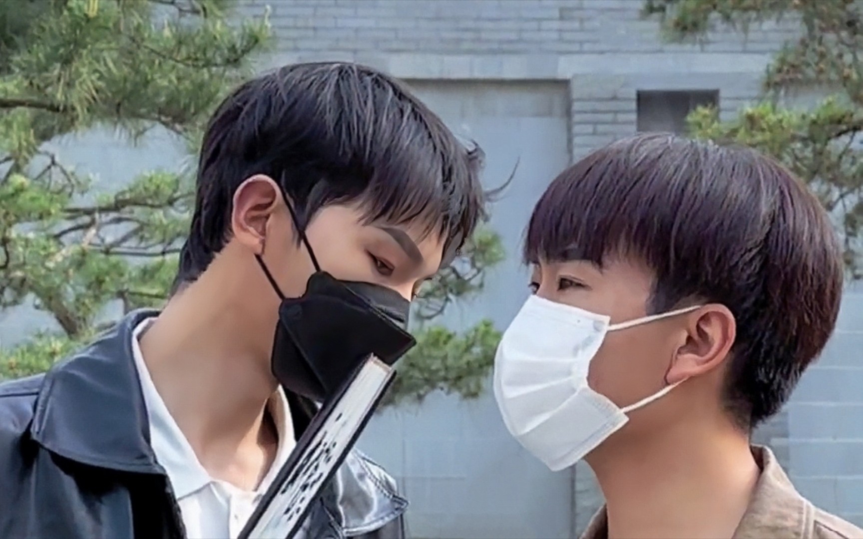 你好王泽与陈安!