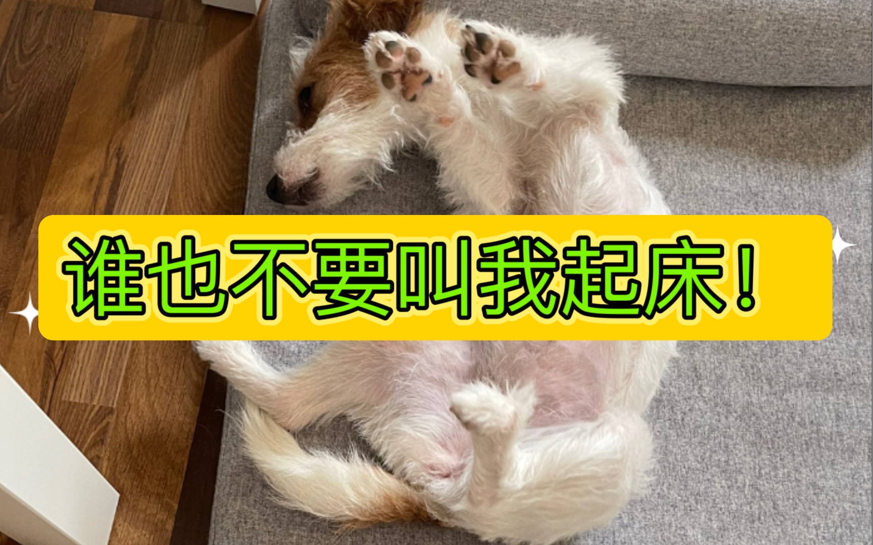 当你妈叫你起床时._哔哩哔哩_bilibili