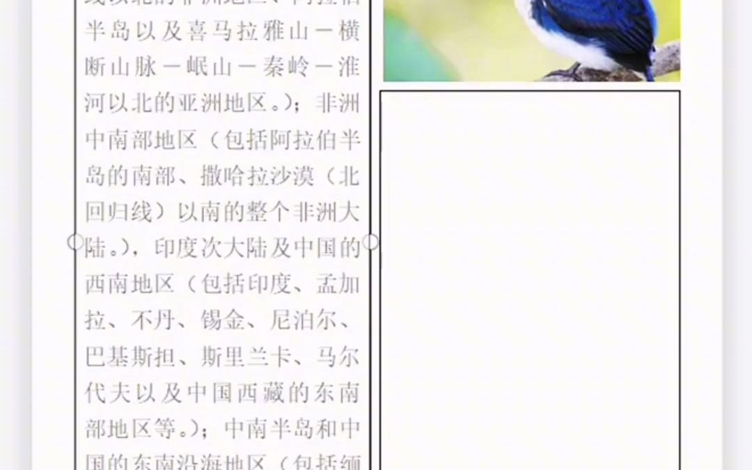 文职必学,word排版之图文混排哔哩哔哩bilibili