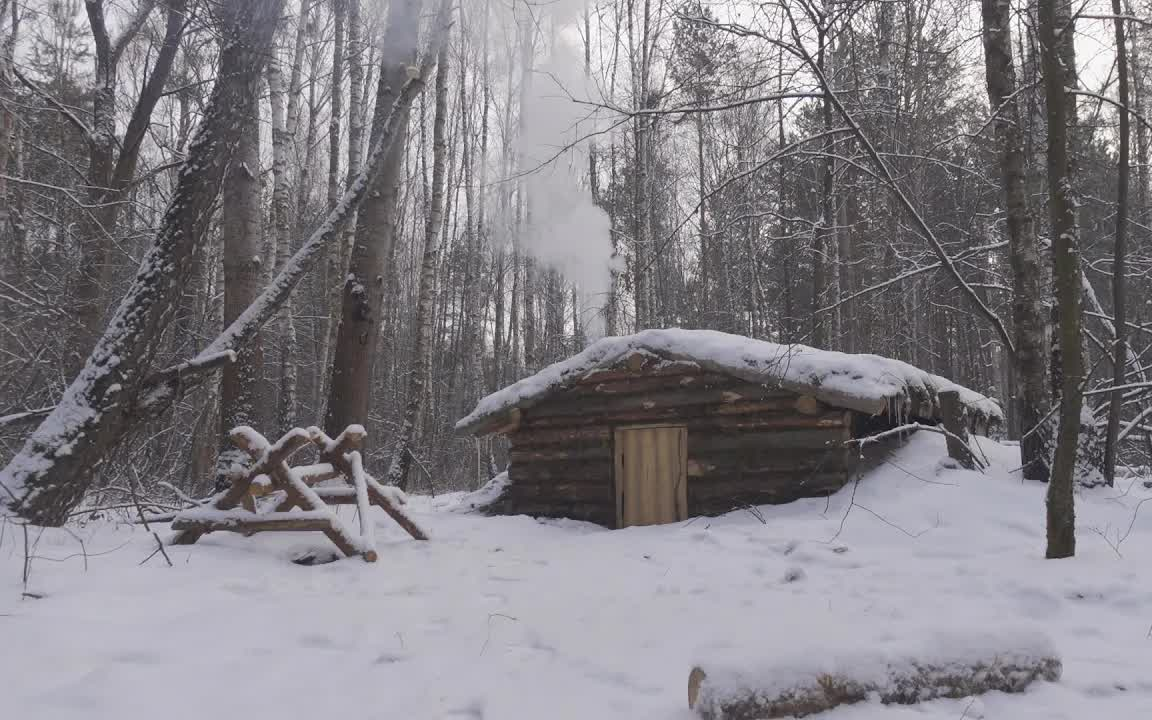 【雪中的森林小木屋】森林庇护所 vlog 户外野营