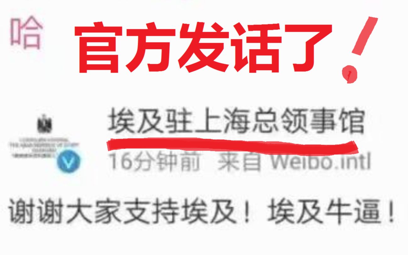 埃及领事馆:谢谢大家支持埃及!!【今日沙雕】哔哩哔哩bilibili