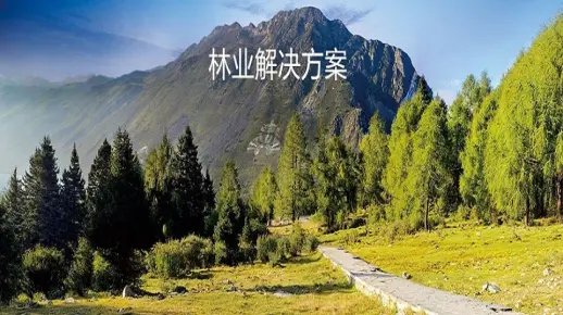 广东林业调查规划设计单位资质——丙级