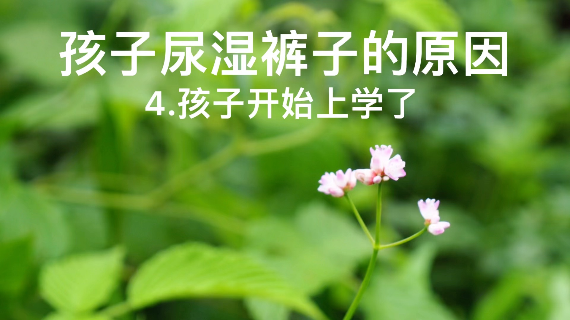 孩子经常尿湿裤子你是否思考过原因呢听听看是否能帮你解答一些疑惑呢