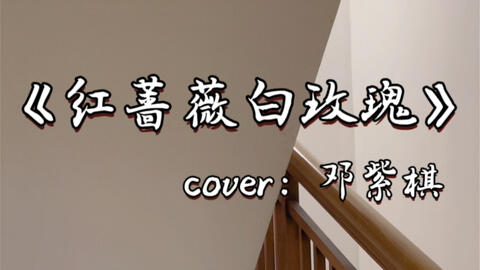 红蔷薇白玫瑰 Cover 邓紫棋 月亮也听见你说说你会一直爱我 哔哩哔哩 Bilibili