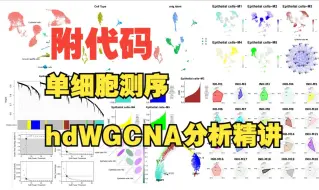 12（附代码）（第一讲）视觉盛宴~单细胞hdWGCNA共表达网络分析精讲，教你如何找到细胞群的关键基因模块，一键出图