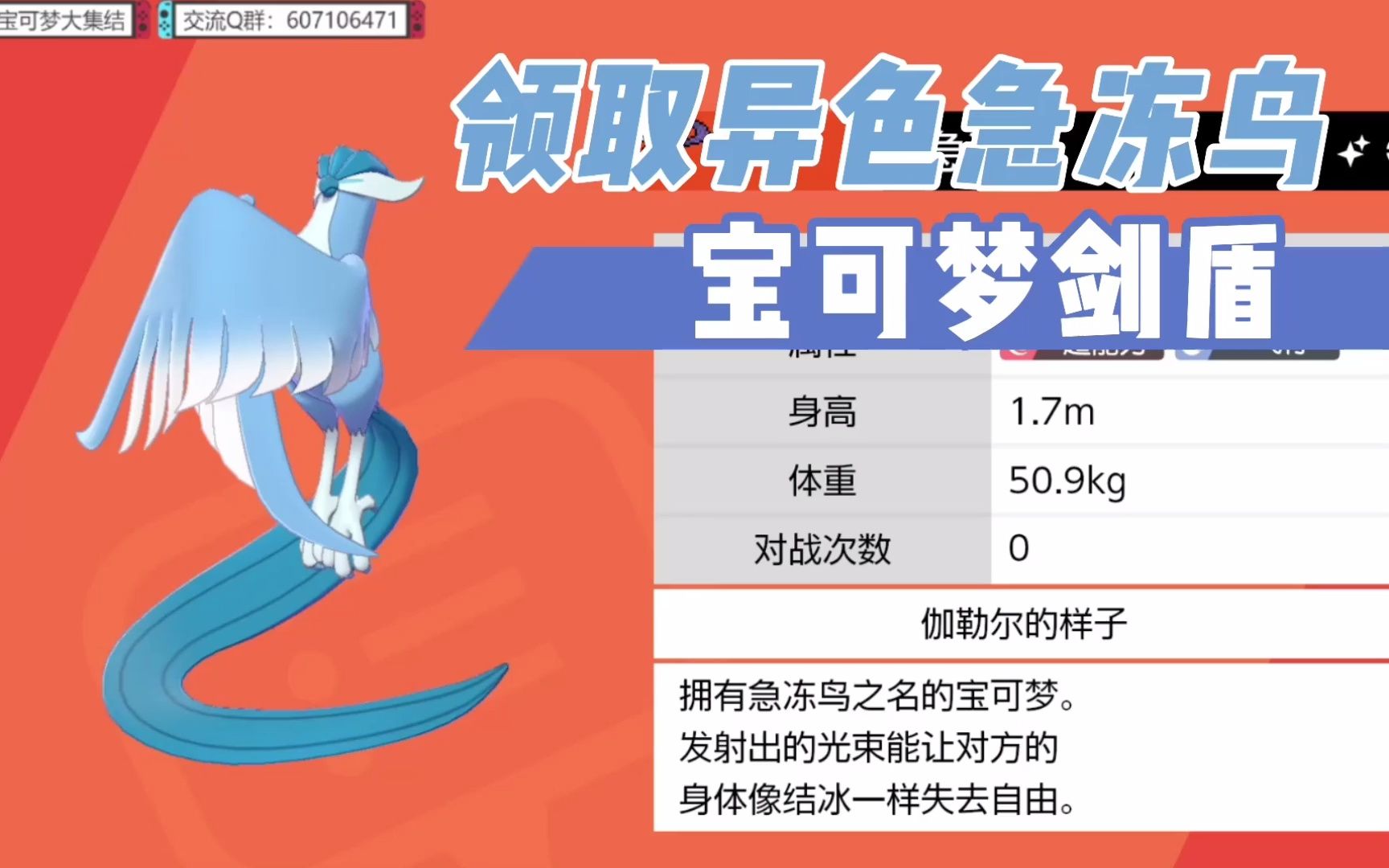 【宝可梦剑盾】伽勒尔异色急冻鸟领取教程_攻略