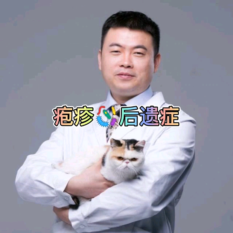 猫疱疹病毒后遗症简介哔哩哔哩bilibili