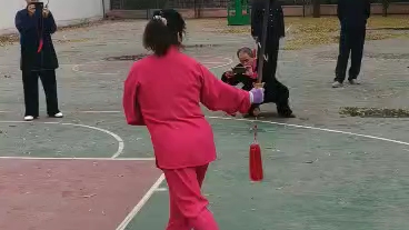 [图]十六式太极剑教学