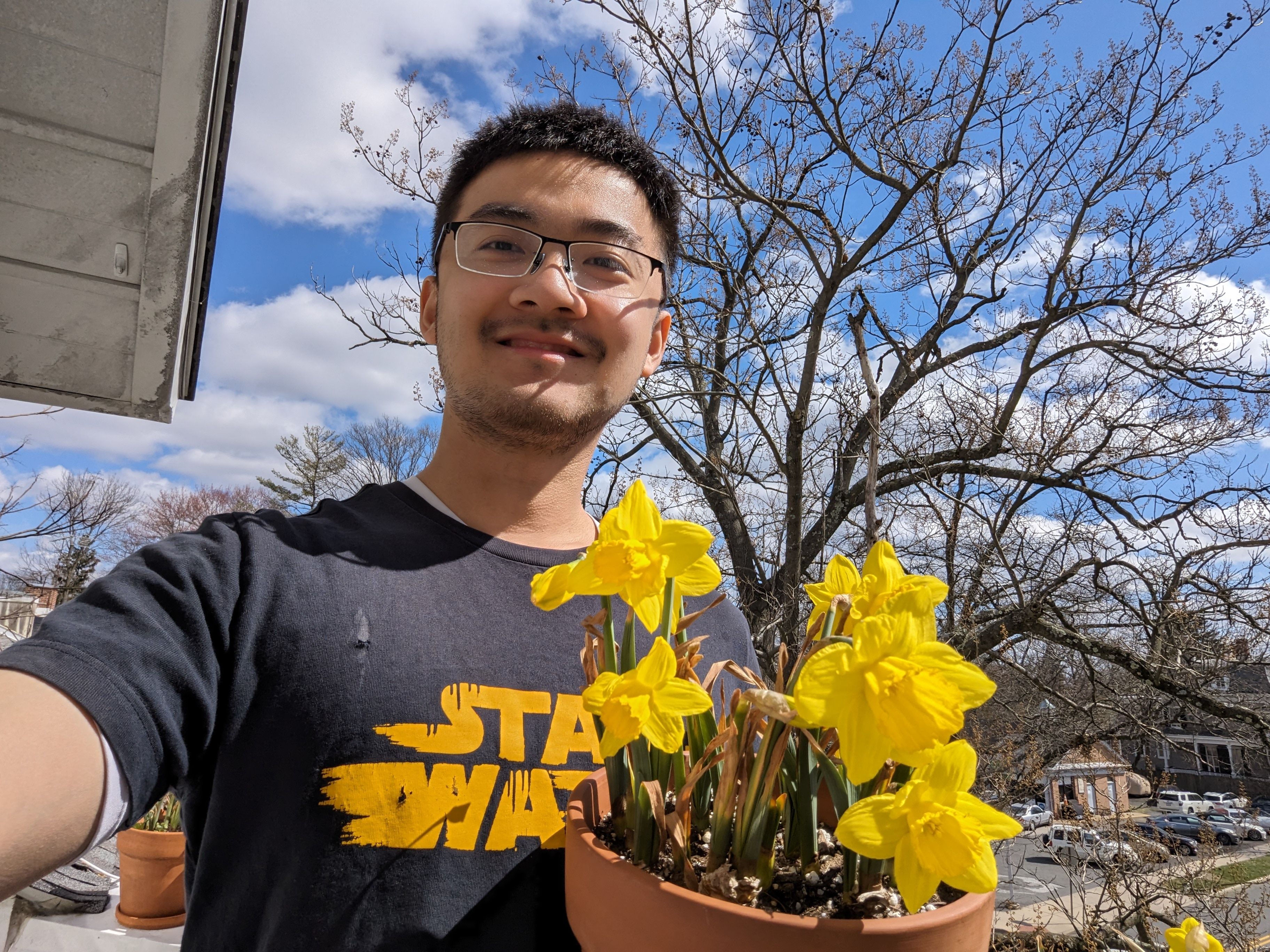 [图]花园州的花园学校和花园公墓--Princeton in flower 球茎类花卉集合