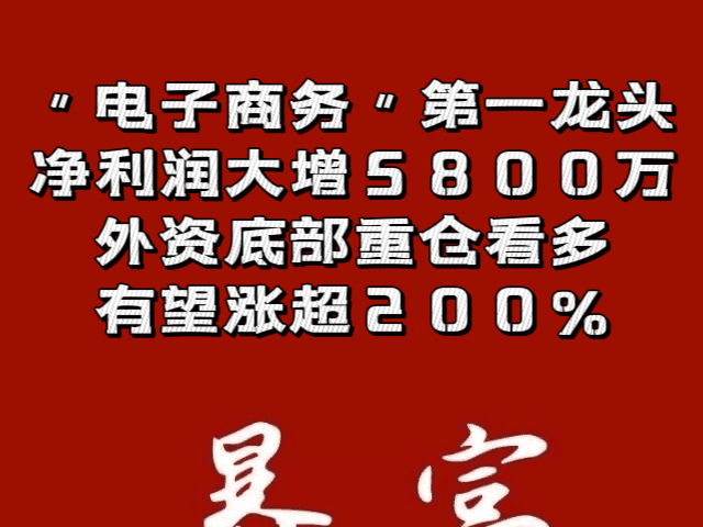 "电子商务"第一龙头,净利润大增5800万,外资底部重仓看多,有望涨超200%哔哩哔哩bilibili