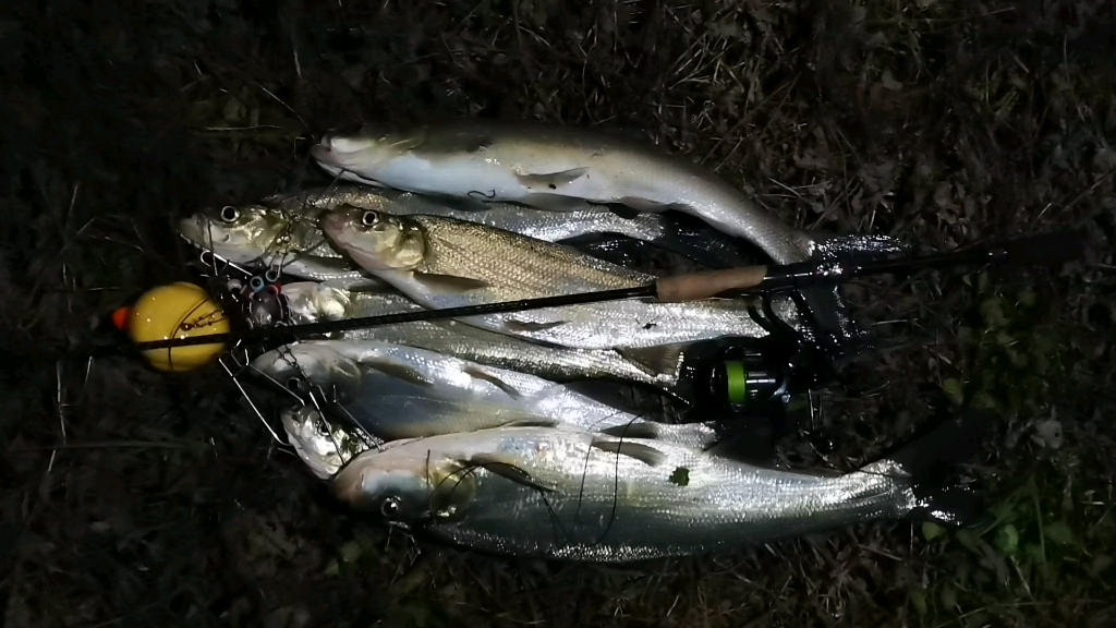 路亚暴扣的一天