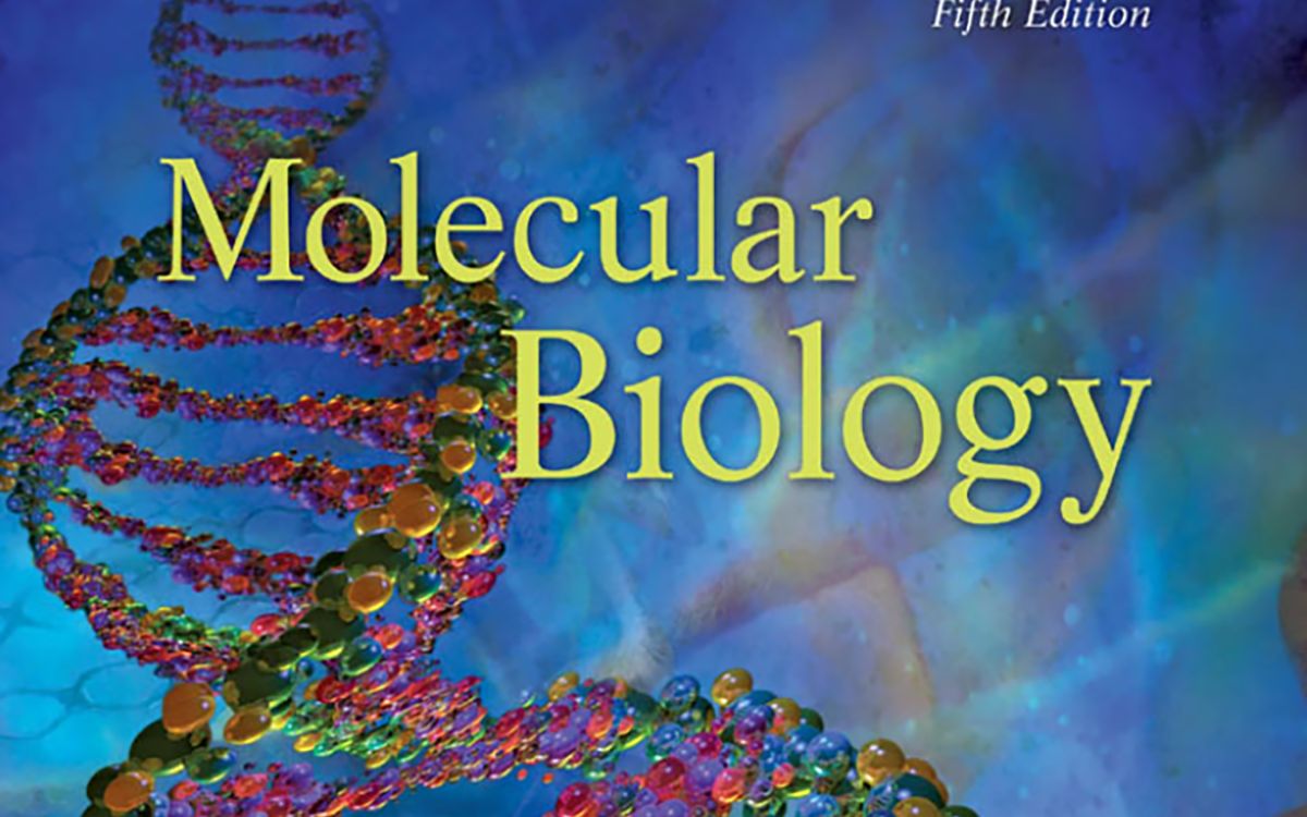 Molecular Biology  Detecting DNaseHypersensitive Regions哔哩哔哩bilibili