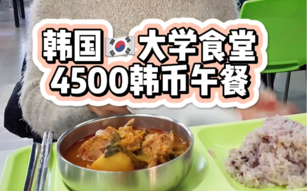 韩国大学食堂4500韩币午餐哔哩哔哩bilibili