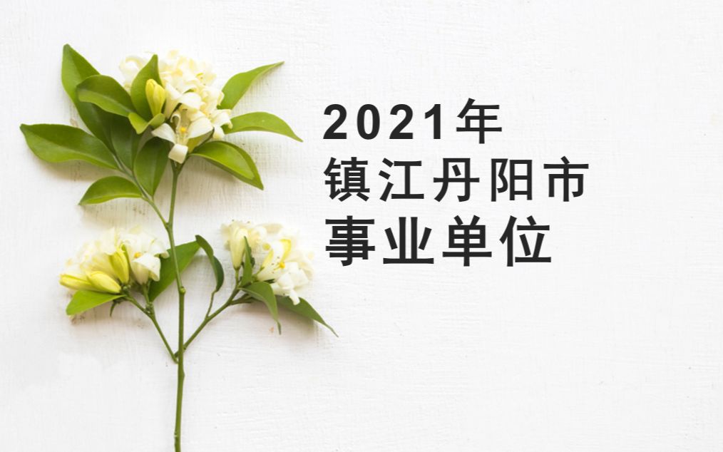 2021镇江丹阳事业单位资料分析视频解析哔哩哔哩bilibili