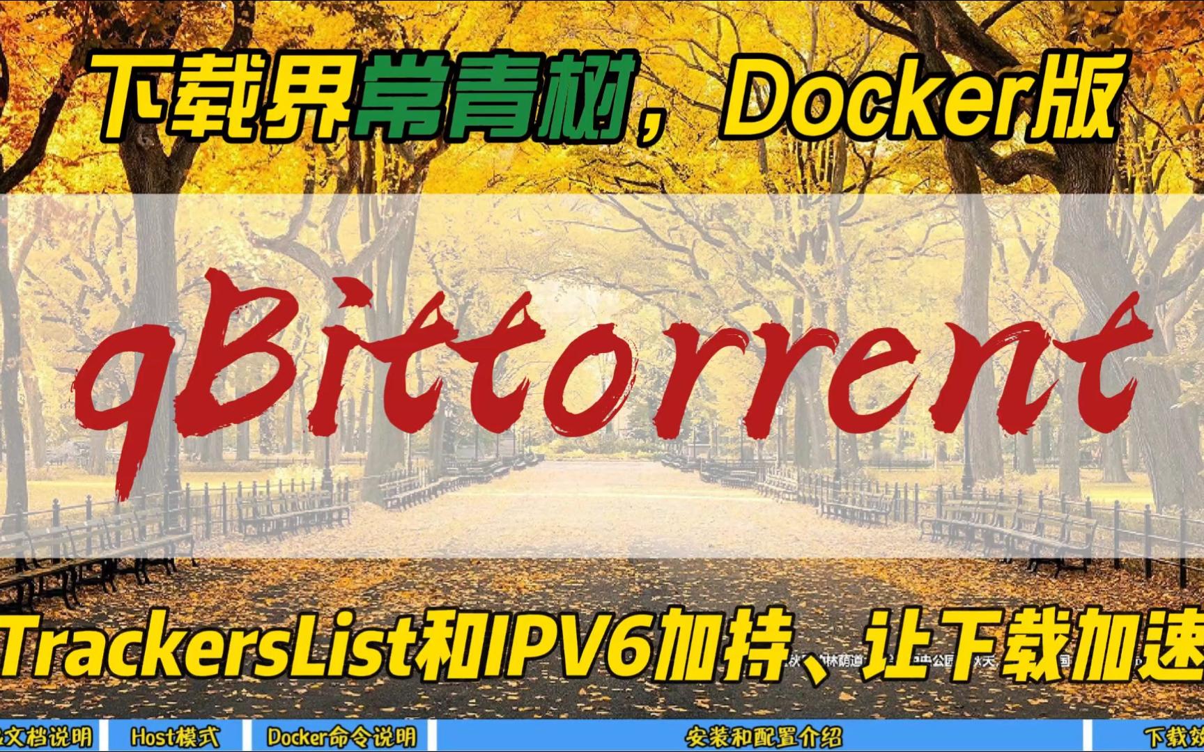 下载界常青树,Docker版qBittorrent~TrackersList和IPV6加持,让下载加速~哔哩哔哩bilibili