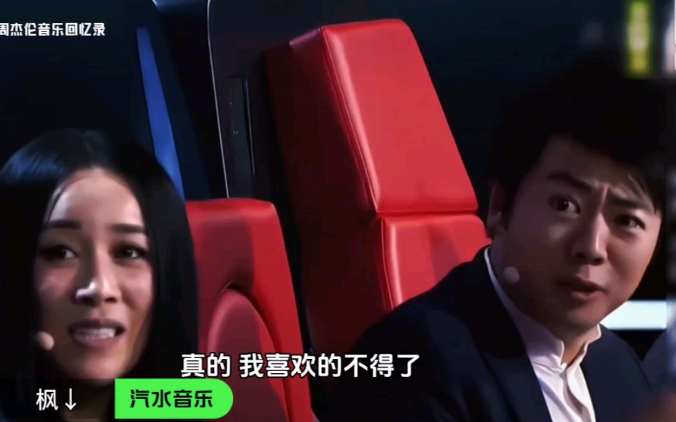 可惜你不听枫 更不会知道枫的最后一句歌词.