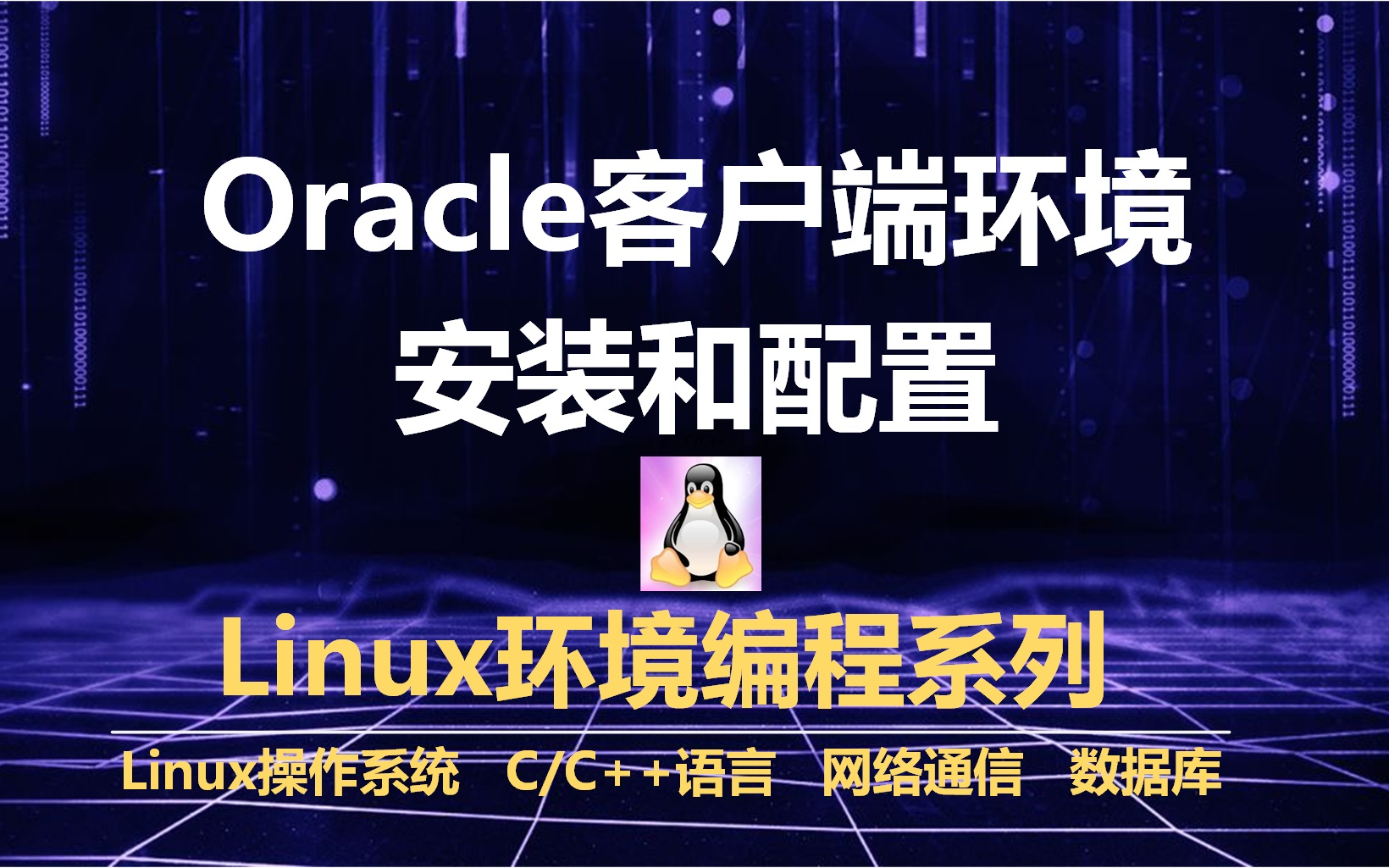 Oracle客户端环境的安装和配置、故障排除哔哩哔哩bilibili