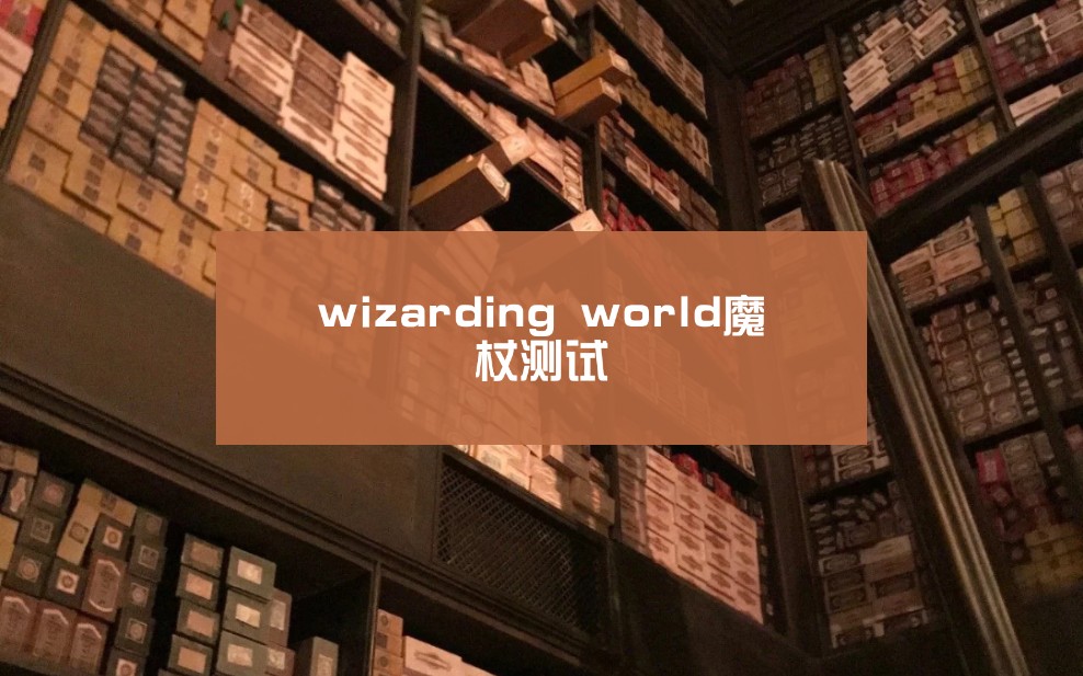 【魔杖测试】Wizarding World魔杖测试(熟肉)哔哩哔哩bilibili