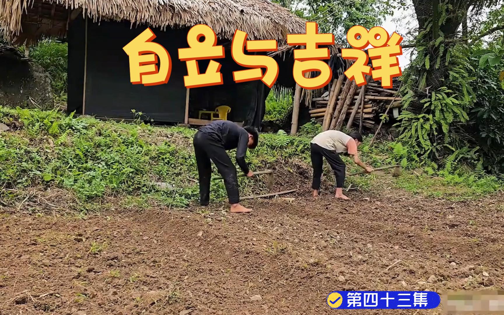 自立与吉祥的荒野生存——第四十三集两人继续开垦土地,帮农户卖瓜赚钱!哔哩哔哩bilibili