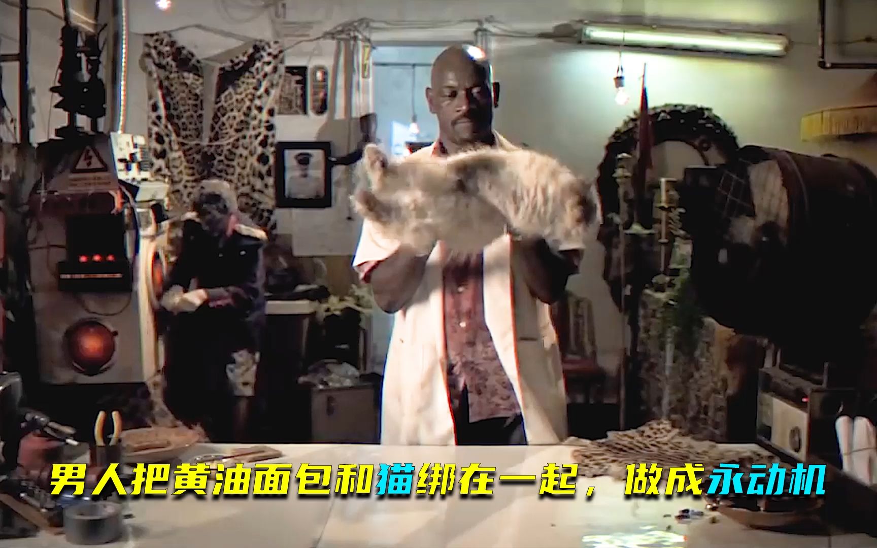 男人把黄油面包和猫绑在一起,做成永动机