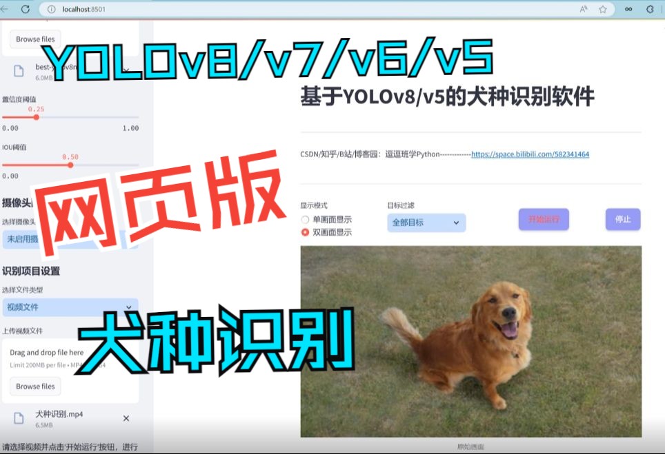 网页版基于深度学习的犬种识别系统(YOLOv8/v7/v6/v5+实现代码+训练数据集)哔哩哔哩bilibili