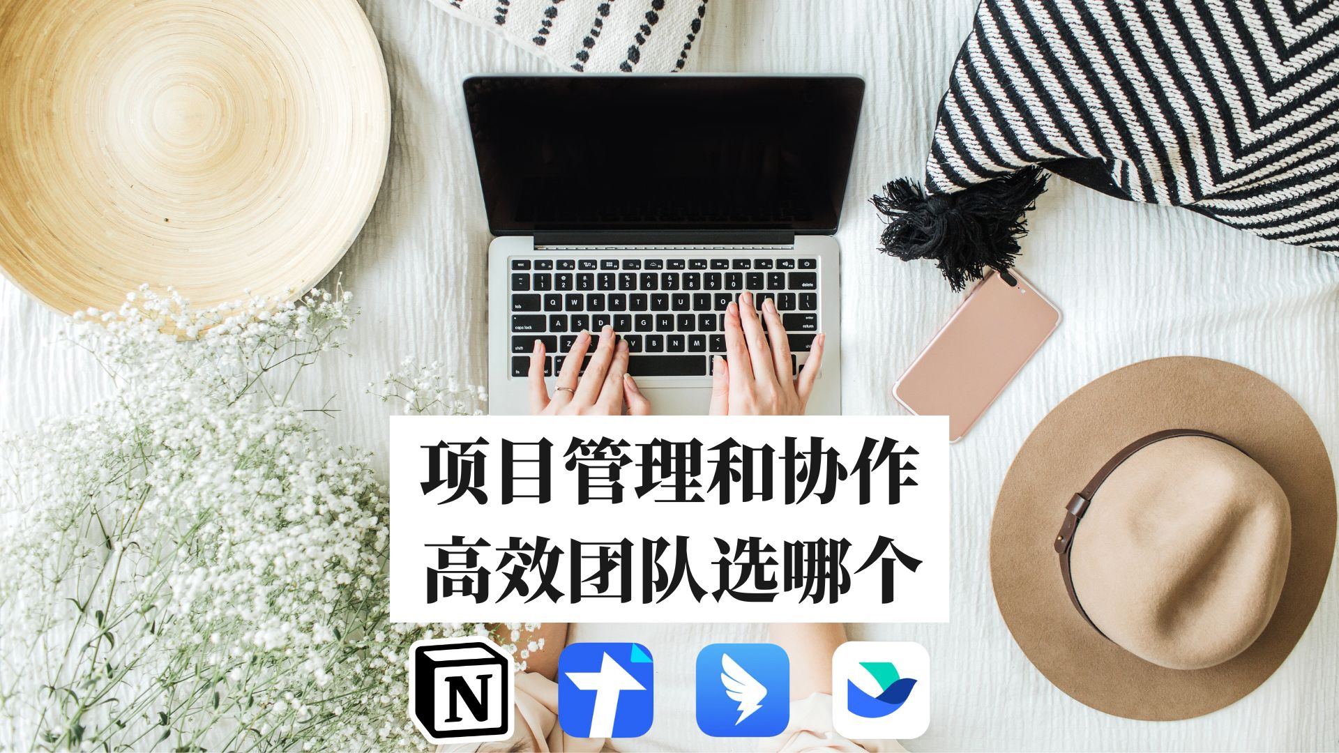 团队协作任务管理 软件怎么选?Notion|腾讯文档|飞书|钉钉 横向对比哔哩哔哩bilibili