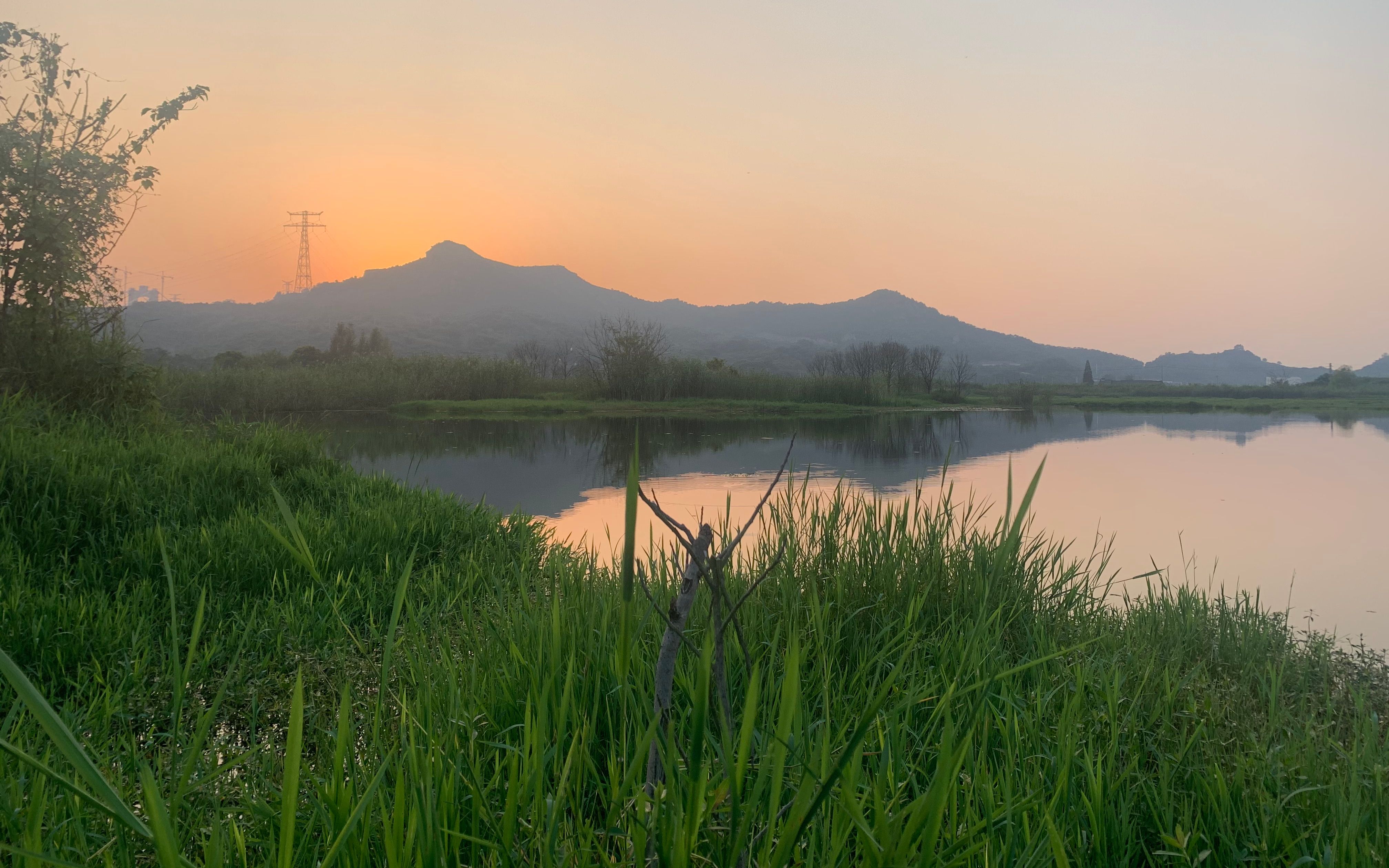 镇江五峰山大桥下钓鱼溜着小乌龟欣赏着唯美的风景这个周末却别有一番