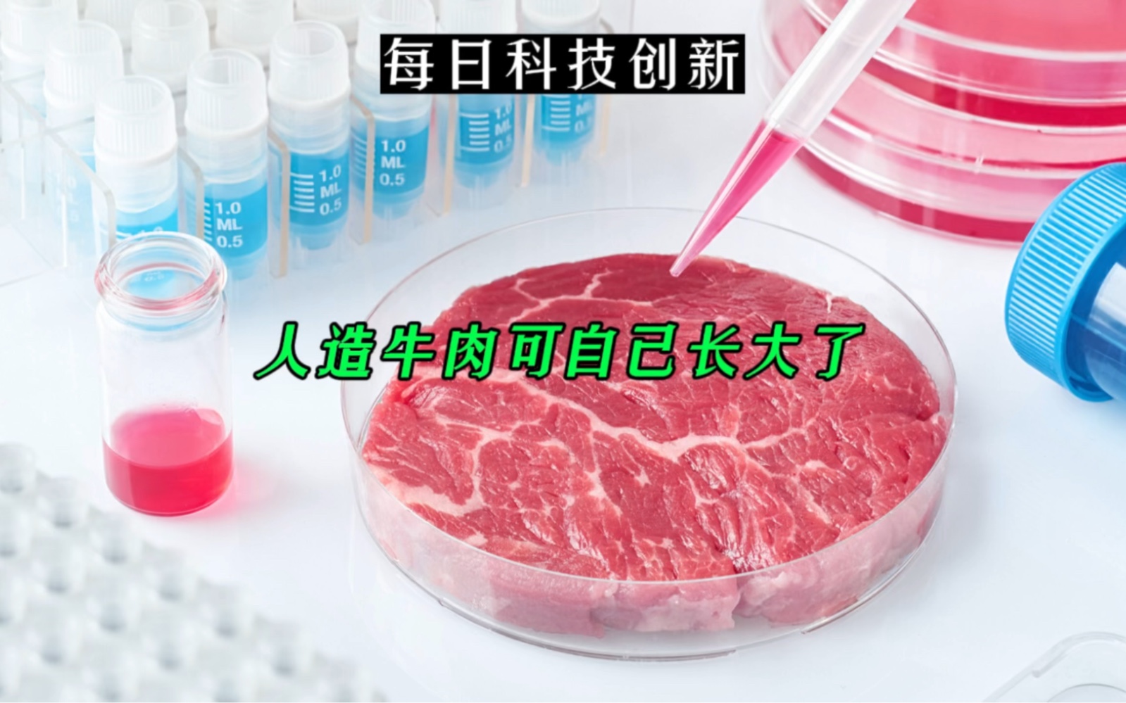 【每日科技创新】人造牛肉可自己长大了!真牛肉和人造牛肉,你更爱哪个?哔哩哔哩bilibili