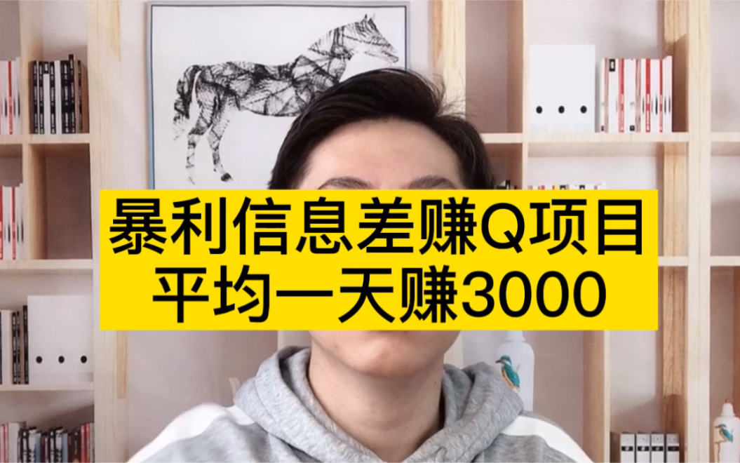 暴利信息差赚钱项目 平均一天赚3000哔哩哔哩bilibili