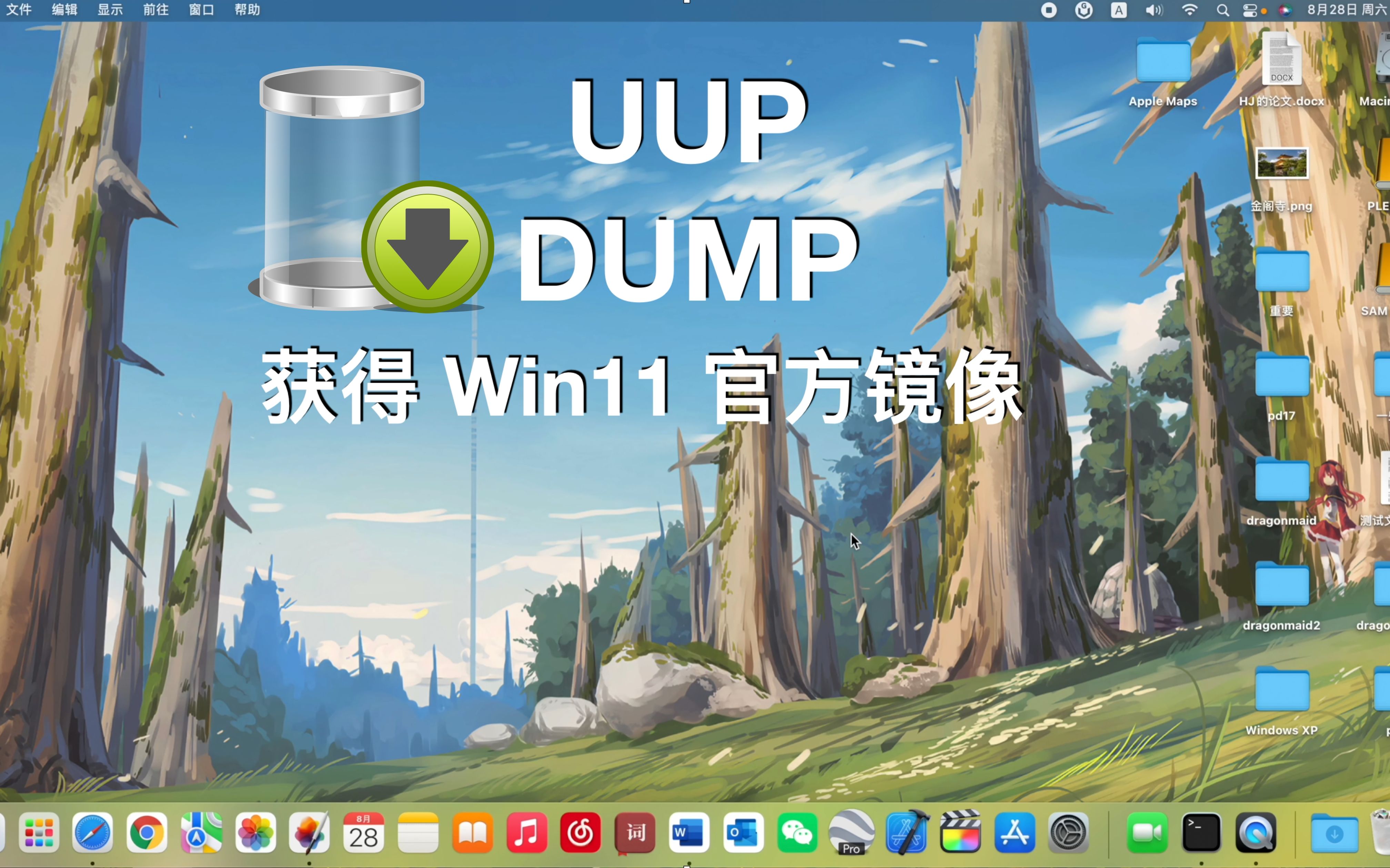 UUP Dump 获取 Win11 ISO 详细教程(macOS 和 Windows)哔哩哔哩bilibili