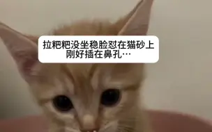 Télécharger la video: “麻麻我闻不到了～”