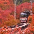 (搬运)【4K超清·前面展望】日本铁道·叡山电车 京都著名红叶美景 出町柳-鞍马 叡山电车900系