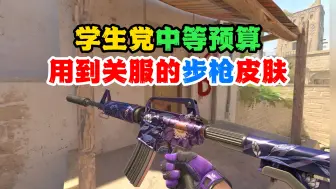 Download Video: 【CS2】学生党中等预算，用到关服的皮肤推荐