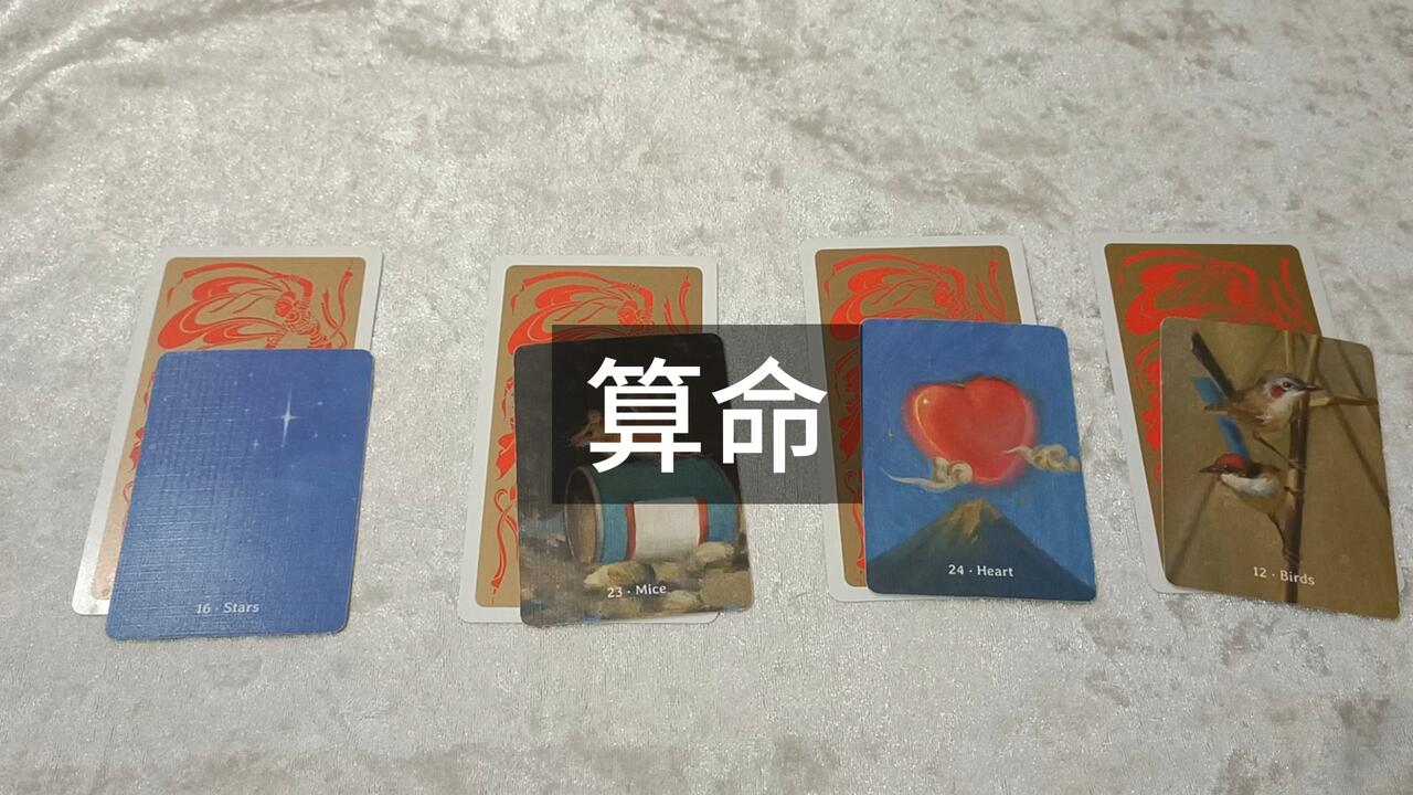 算命_哔哩哔哩_bilibili