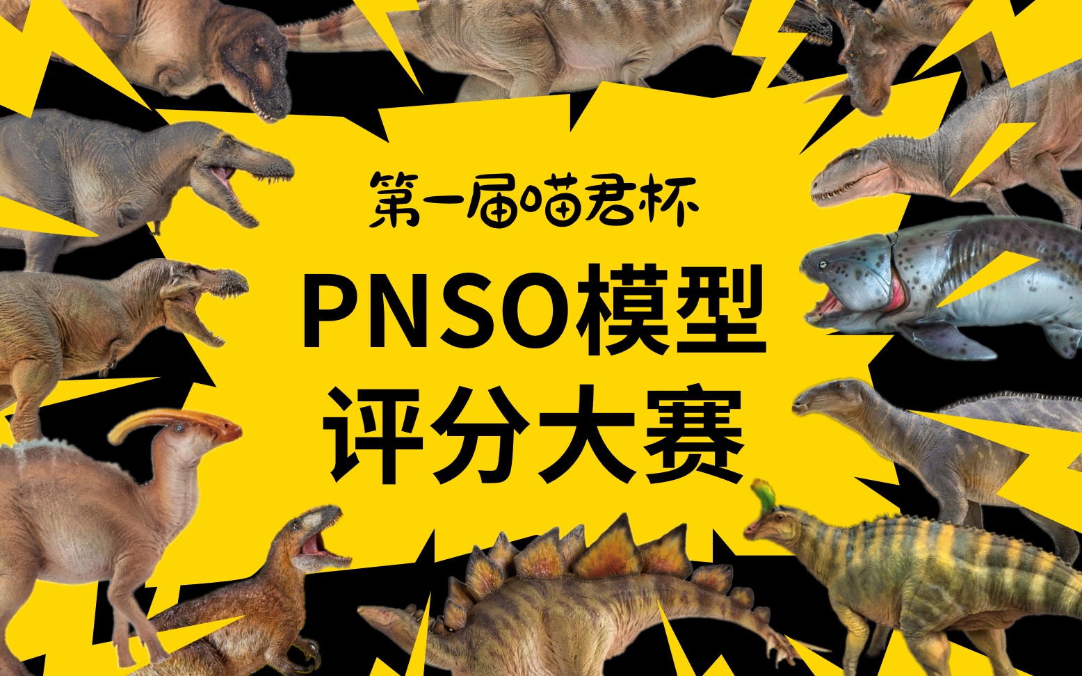 [图]第一届喵君杯PNSO模型评分大赛【PNSO模型排行榜前篇-入坑参考】