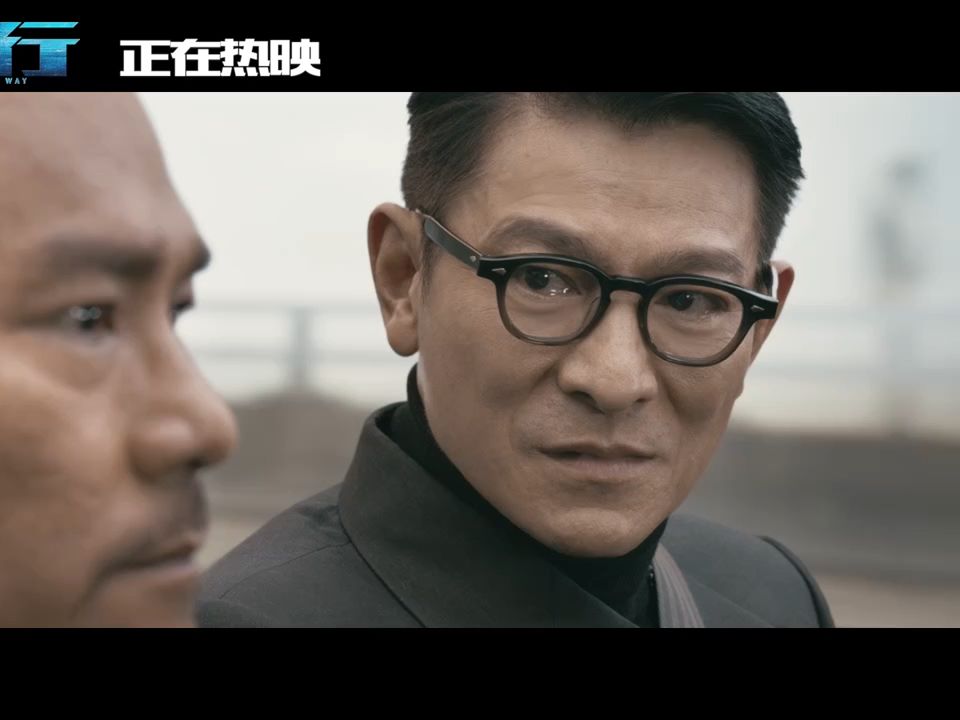 刘德华 / 林家栋 / 彭于晏 / 刘雅瑟 / 任达华 主演 电影 《潜行》