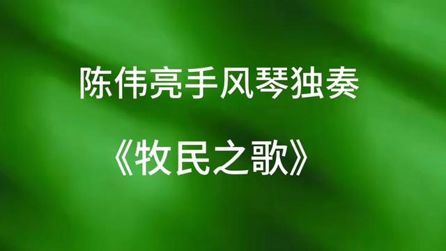 陈伟亮手风琴独奏《牧民之歌》