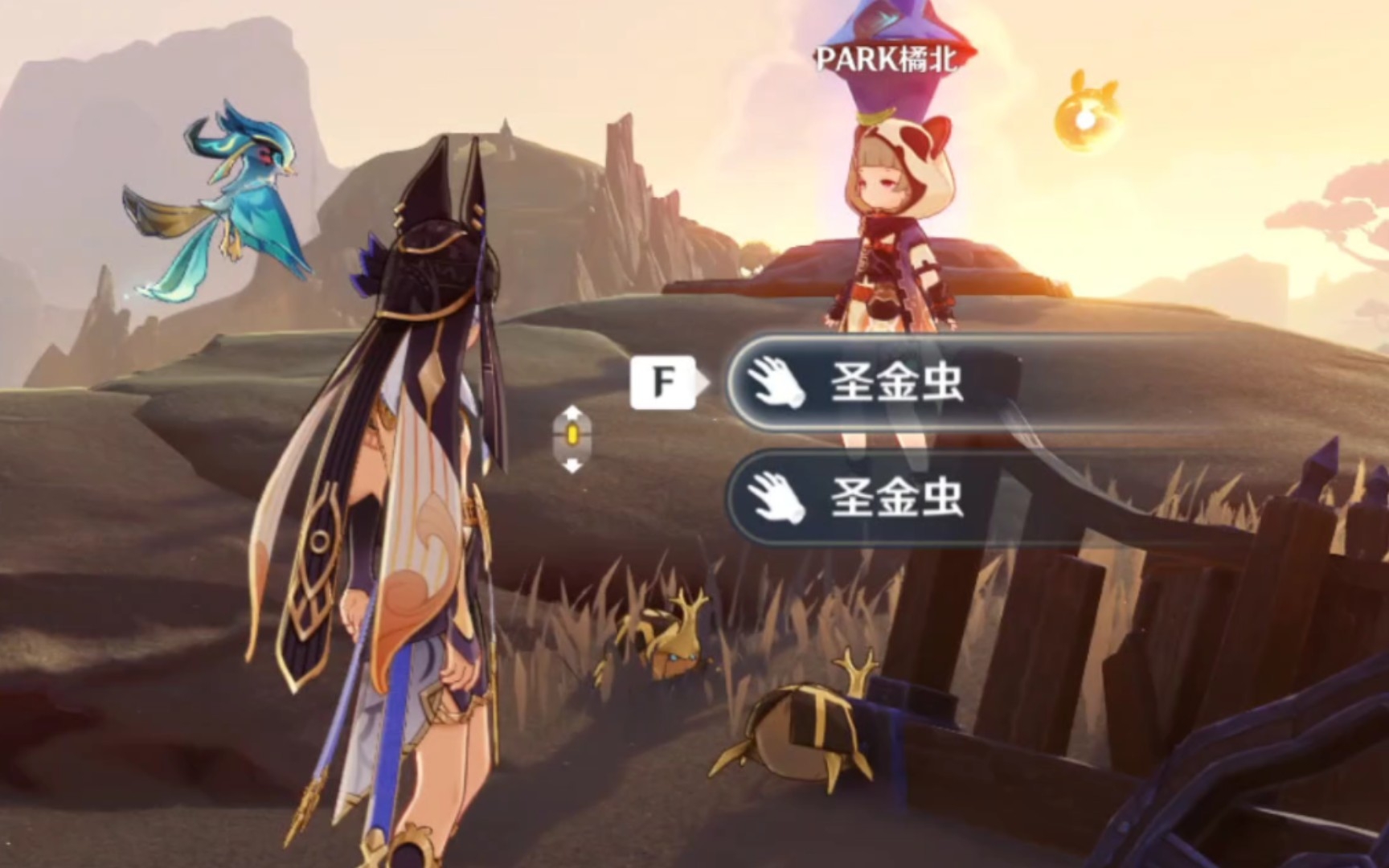 【原神】沉浸式看屎壳郎推屎