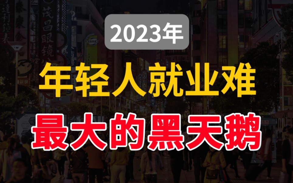 1000万毕业生,600万慢就业,2023年最大的黑天鹅来了哔哩哔哩bilibili