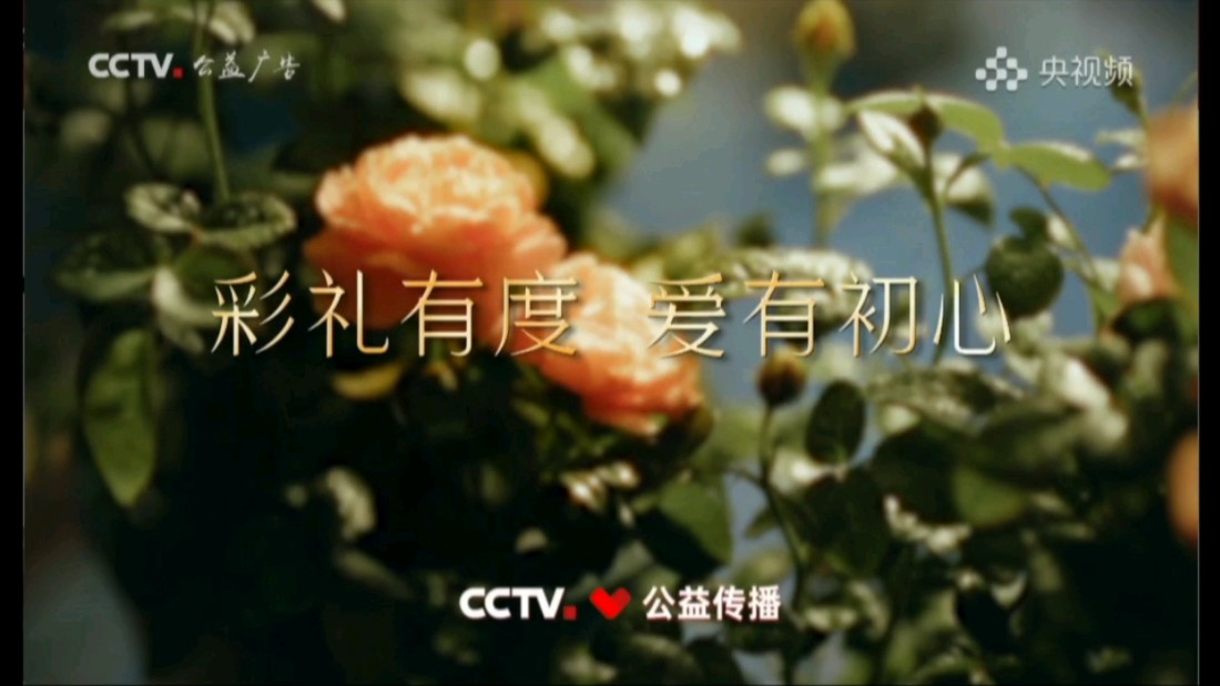 【CCTV公益传播】倡导文明婚俗主题公益广告《彩礼有度 爱有初心》哔哩哔哩bilibili