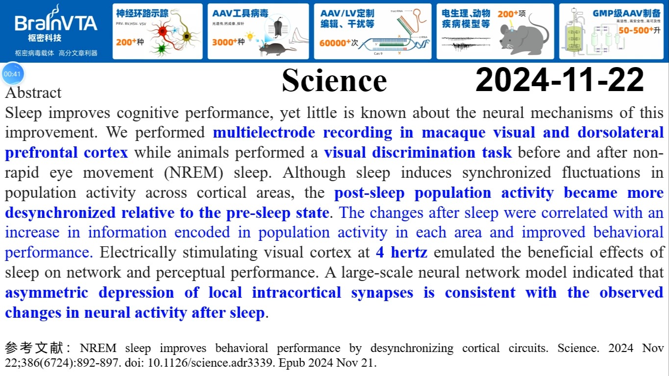 Science—睡眠科学研究重磅!睡眠为什么让我们更聪明?失眠为何让我们变傻?可能跟皮层环路去同步化有关!哔哩哔哩bilibili