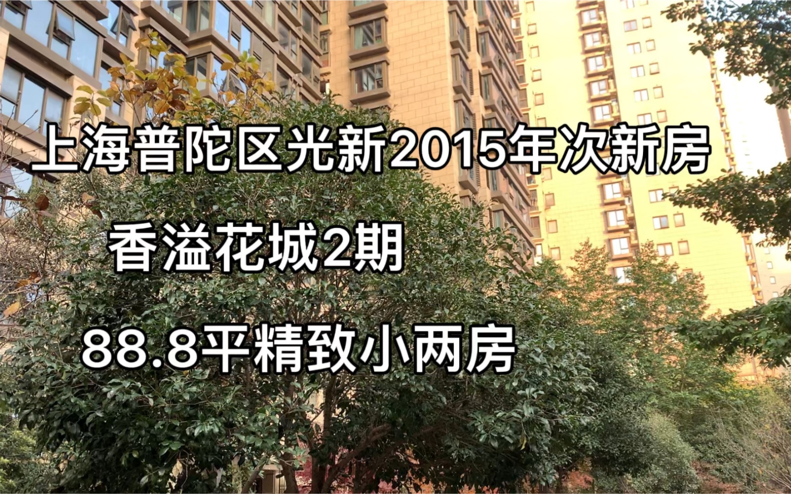 上海普陀光新2015年次新房香溢花城2期88.88平精致小两房999W哔哩哔哩bilibili