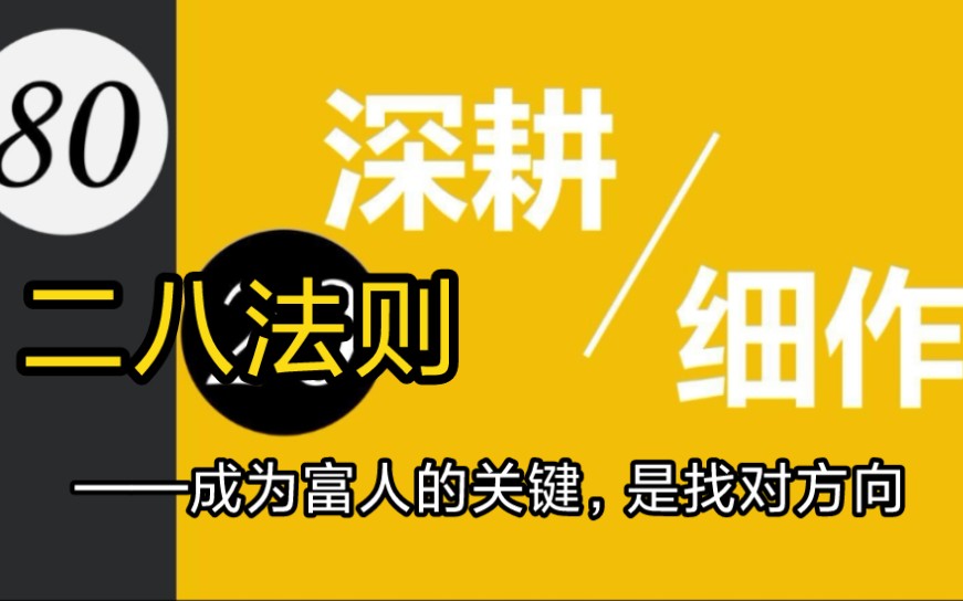 二八法则:为啥你越忙越穷?因为你80%都是瞎忙,再不纠正就晚了哔哩哔哩bilibili